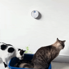 Purificador Inteligente de Odor para Caixa de Areia de Gatos | Elimina Cheiro Forte em Minutos