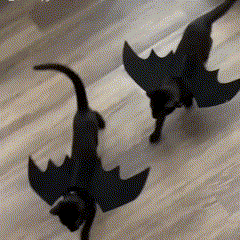 Fantasia de Asas de Morcego para Gatos e Cães – Conforto, Estilo e Diversão para Festas e Halloween
