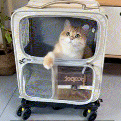 Mochila e Carrinho de Transporte para Pets Pequenos – Conforto e Segurança para Viagens Curta e Longas