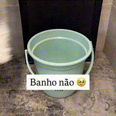 Luva Toalha de Secagem Rápida para Pets | Para Cães e Gatos | Facilita a Secagem Após o Banho e Remove o Excesso de Umidade | Design Absorvente e Confortável