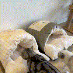 Cama para Pets – Gatos e Cachorros | Design Divertido de Coelho, Confortável e Aconchegante