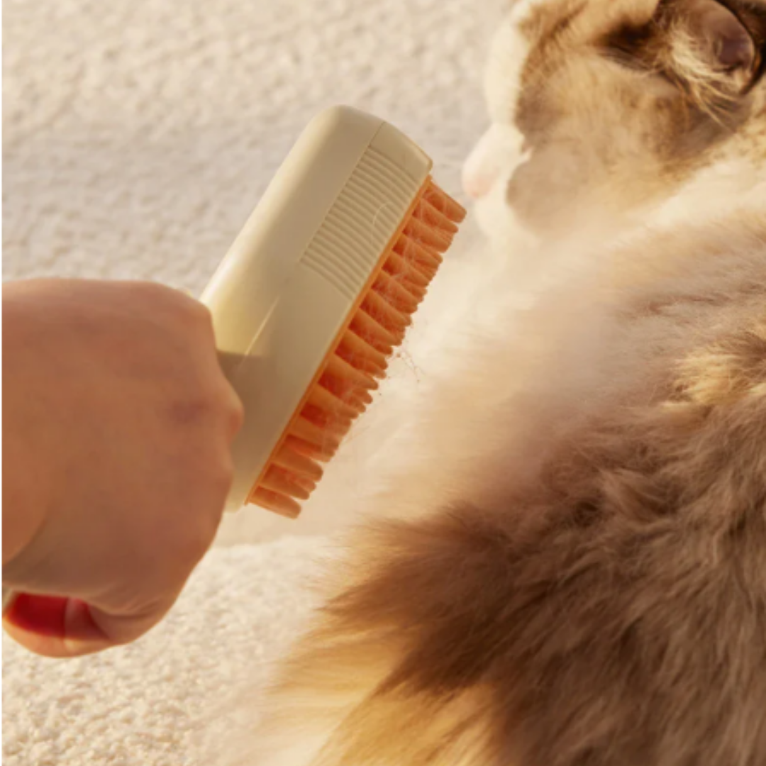 Escova Vaporizadora para Pets – Remove Nós e Hidrata com Vapor