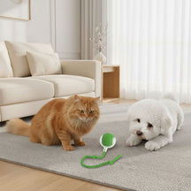 Bola Elétrica com Cauda para Pets – Brinquedo Interativo e Estimulante