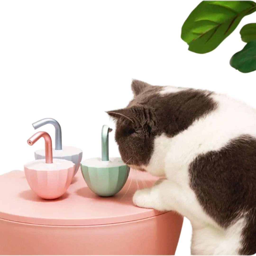 a Laser Interativo para Gatos - Para Estimulação Mental e Exercício Físico com Luz LED Segura