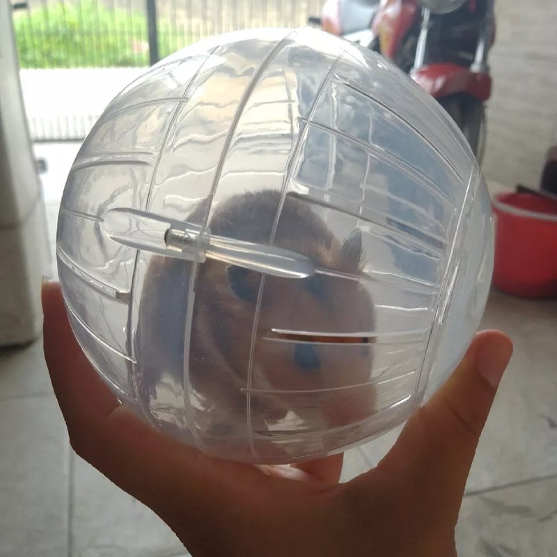 Kit de 2 Bolas de Exercício Globo para Hamsters: Brinquedo Interativo para Pequenos Roedores que Estimula a Atividade Física e o Lazer