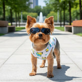 Óculos de sol Velú Pet, cão usando os óculos de proteção UV durante passeio