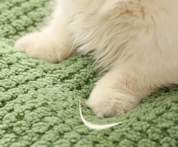 Cama Ninho Aconchegante em Formato de Sapo para Cães e Gatos – Conforto Máximo com Design Divertido