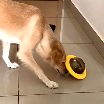 Comedouro Interativo Disco Voador para Pets - Brinquedo Alimentador para Cães e Gatos que Estimula a Caça e a Atividade Física com Design Divertido